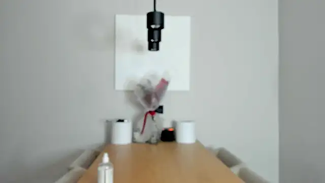 soft_katyのウェブカメラショー