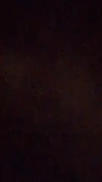 Show modela MC353535 na web-kameri