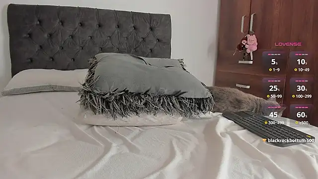 jordanmuskk 라이브 XXX 채팅