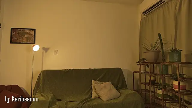 Karibeam 即時 XXX 聊天