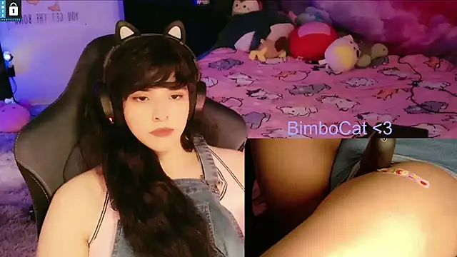 BimboCat Show in webcam
