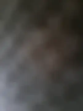 royyul's Webcam Show