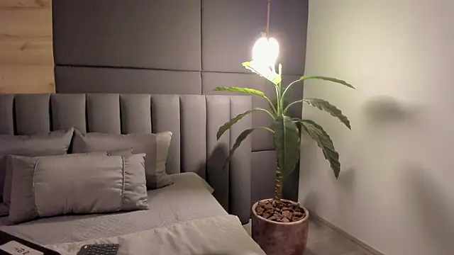 TiffanyyLamn Live XXX chat