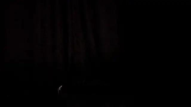 ZoeParcker – Live XXX-chat