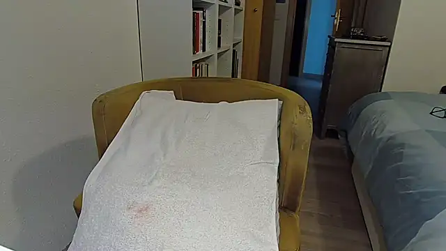 Fergaroのウェブカメラショー