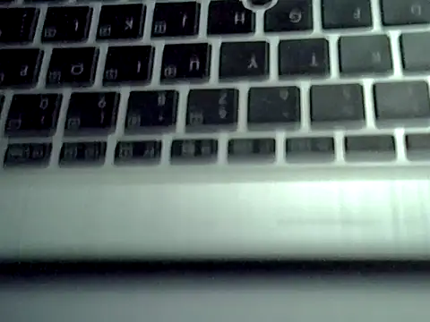 Delicious-D 网络视讯表演