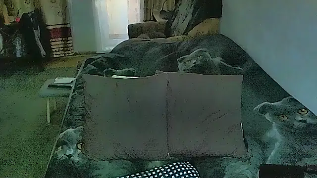 Chat +18 de sex2 ao vivo