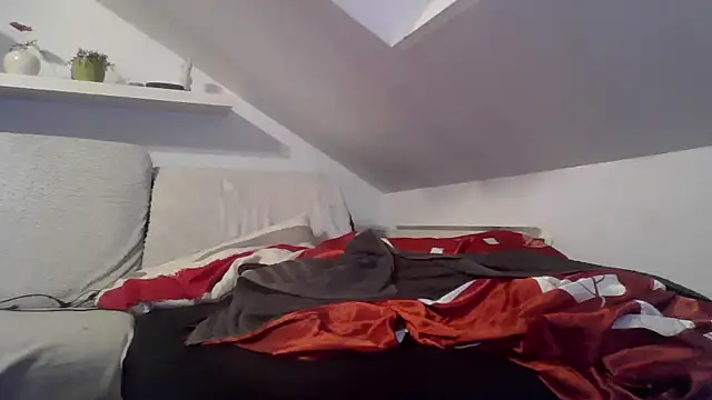 Cambitchboy élő XXX-chatje