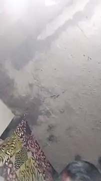 Maidangirl Obrolan Langsung XXX