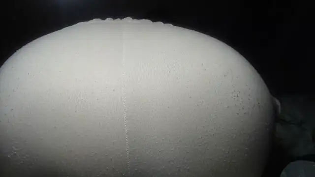 Chat XXX ao vivo de prettyangelsquirt