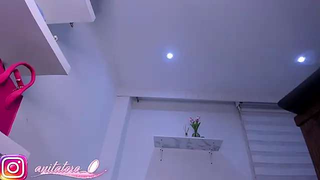 anitatoro_0 现场XXX聊天