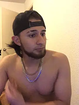 will1200 – Kamerová šou