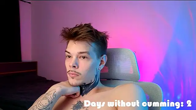 DENIS_HEREn Webbikameraesitys