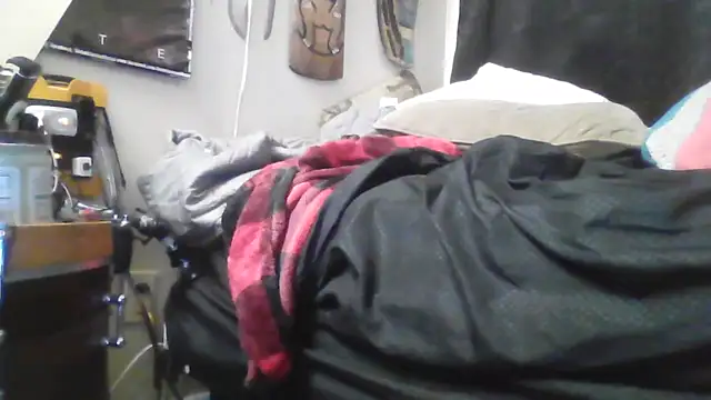 crassanovan Webbikameraesitys