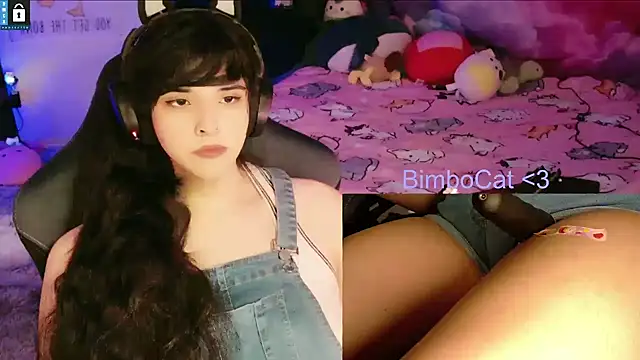 BimboCat Show Webcam