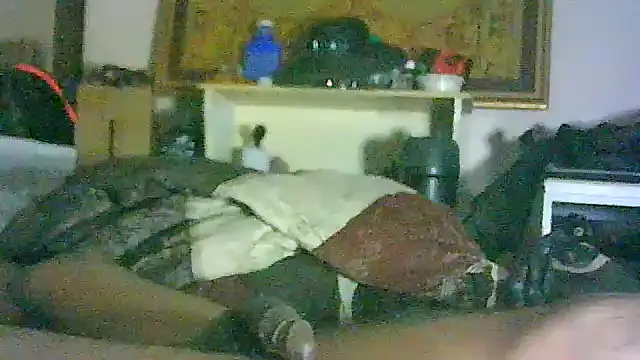 Chat XXX en directo de ON3YOULLN3VER_FIR3