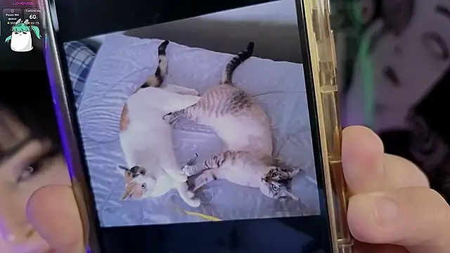 Yuhwan_ Adlı Modelin Canlı XXX Sohbeti