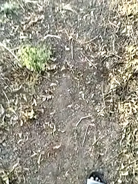 jellydicks লাইভ XXX চ্যাট