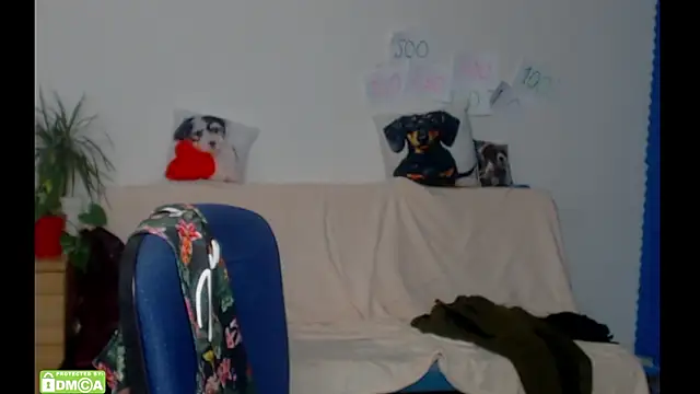 ZeinMiracles Obrolan Langsung XXX