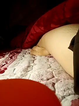 Chat +18 de -Bunny-y ao vivo