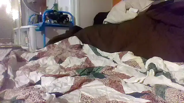 Cum515088 Obrolan Langsung XXX