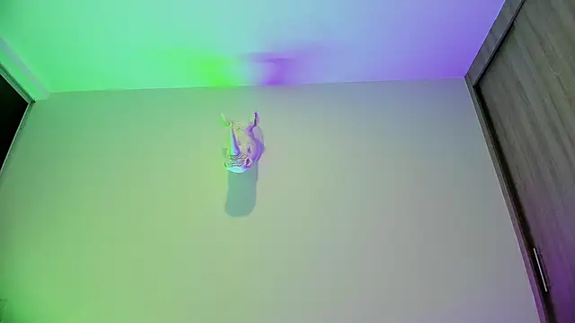 Chatroom XXX en direct de Dagoti