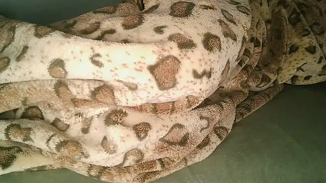 دردشة Horny208 الجنسية المباشرة