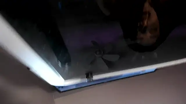 NoraDasilva 라이브 XXX 채팅