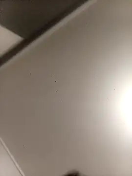 Show modela bbferlinaa na web-kameri