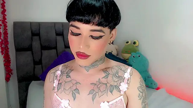 little_star_porn 웹캠 쇼