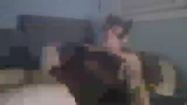 Pokazy przed kamerką – chceciedalsiebie