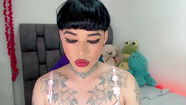 little_star_porn 웹캠 쇼