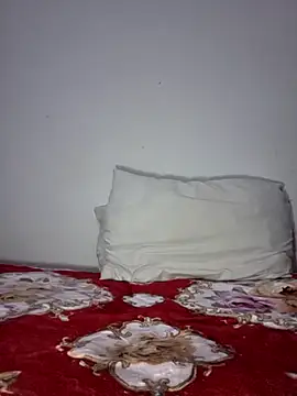 altinyaのウェブカメラショー