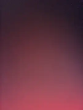 Nidge251 élő XXX-chatje