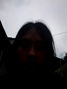 Hoa-tuylip Show Webcam