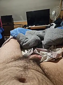 sste1n – webcam-show