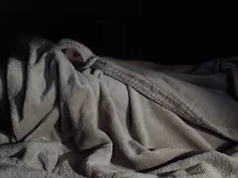 FurryCupLove555 লাইভ XXX চ্যাট