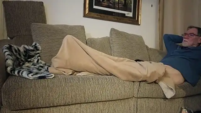 Show Webcam de CDforU