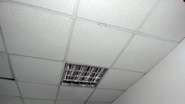 Aisha_hotts777 라이브 XXX 채팅