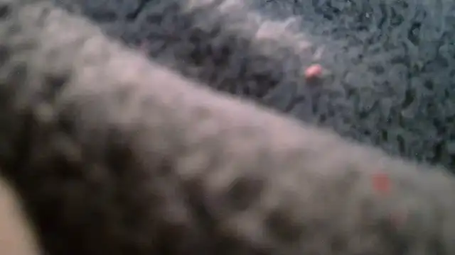 Paar27 Live XXX-chat