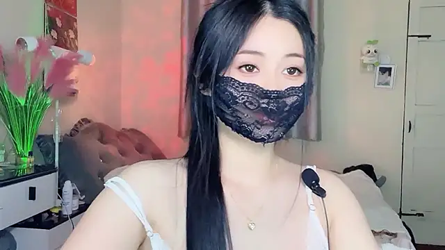 MI_KA22n Webbikameraesitys