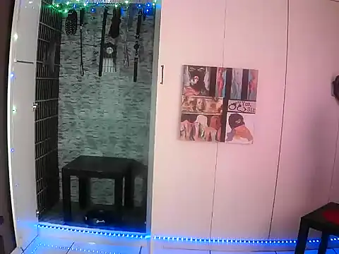 BaDSubMiss: διαδικτυακό σόου στην κάμερα