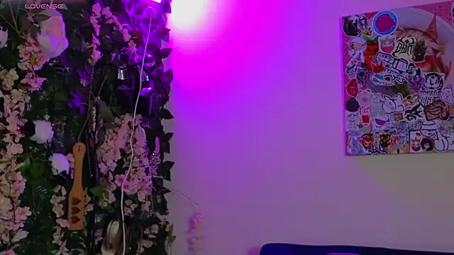 Dann_dan 网络视讯表演