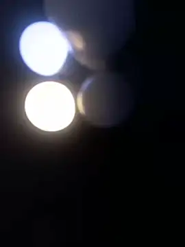 MelodyRey_ 라이브 XXX 채팅