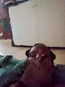 01Wetlips Live XXX-Chat