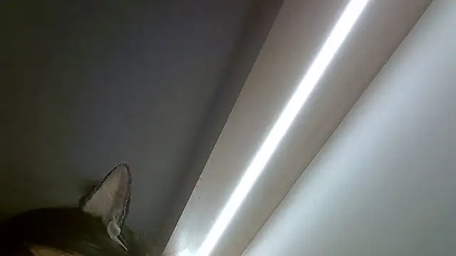 SkinnyKitten 在線直播表演