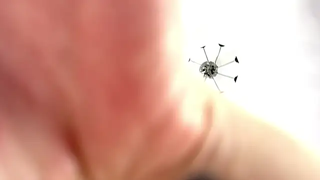 Chat +18 de GlaydsLeveto ao vivo