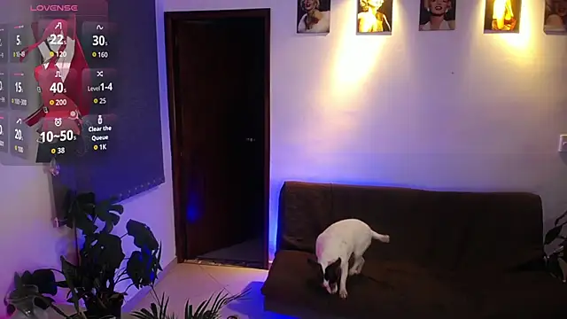 shellsy_hans লাইভ XXX চ্যাট