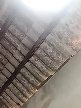 bongtuyet11 在線直播表演