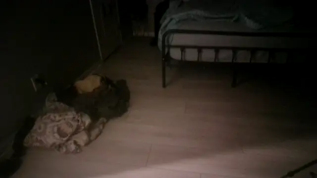 TheGrudge206 élő XXX-chatje